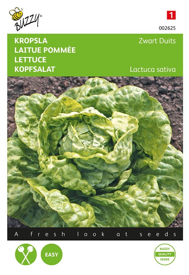 Buzzy-Kropsla-Zwart-Duits