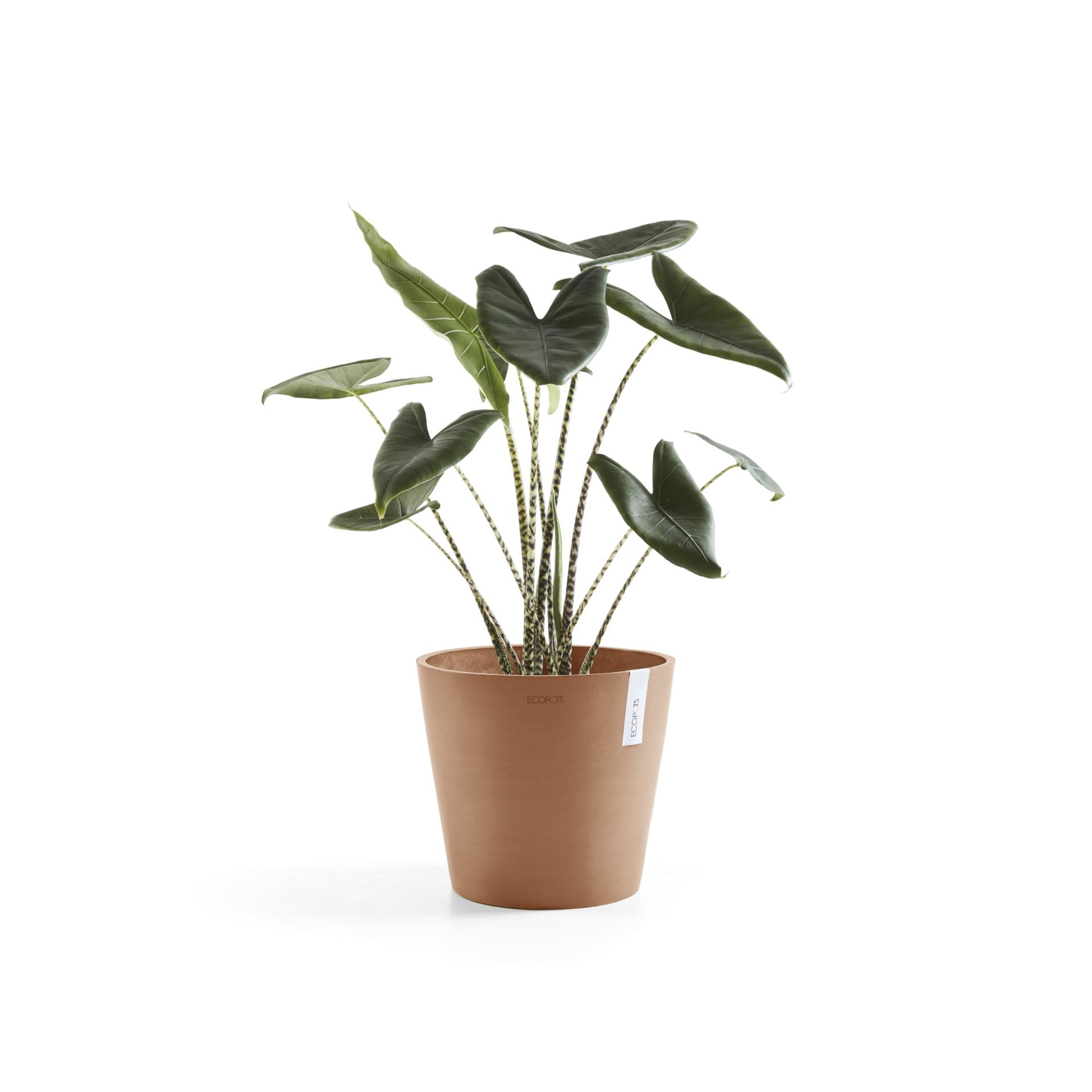 Ecopots-amsterdam-terra-40-cm-H35-cm