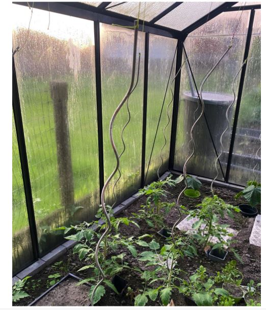 Famiflora spirales de tomates galvanisées - 1m70 - Par 10 pièces