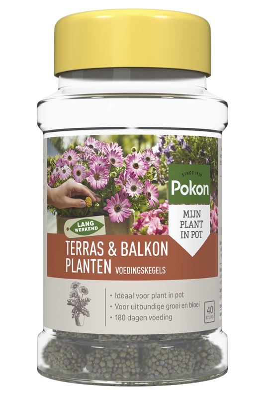 Pokon-Terras-Balkonplanten-Voeding-langwerkende-kegels-40-stuks-