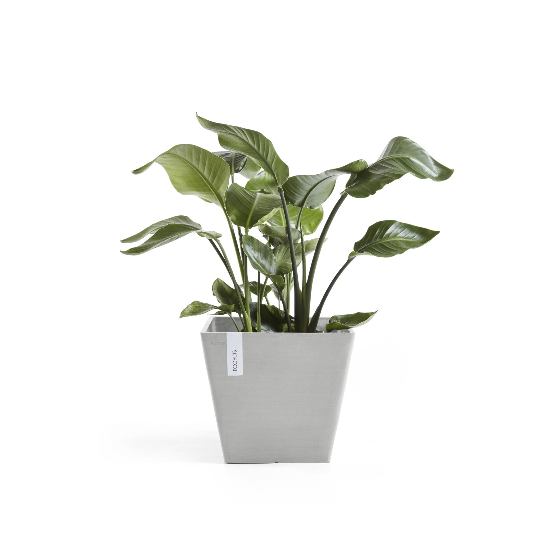 Ecopots-rotterdam-white-grey-LBH-40x40x35-cm