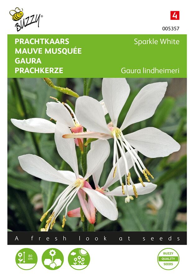 Buzzy® Beautiful graines de bougie - Gaura lindheimerii - Sparkle White