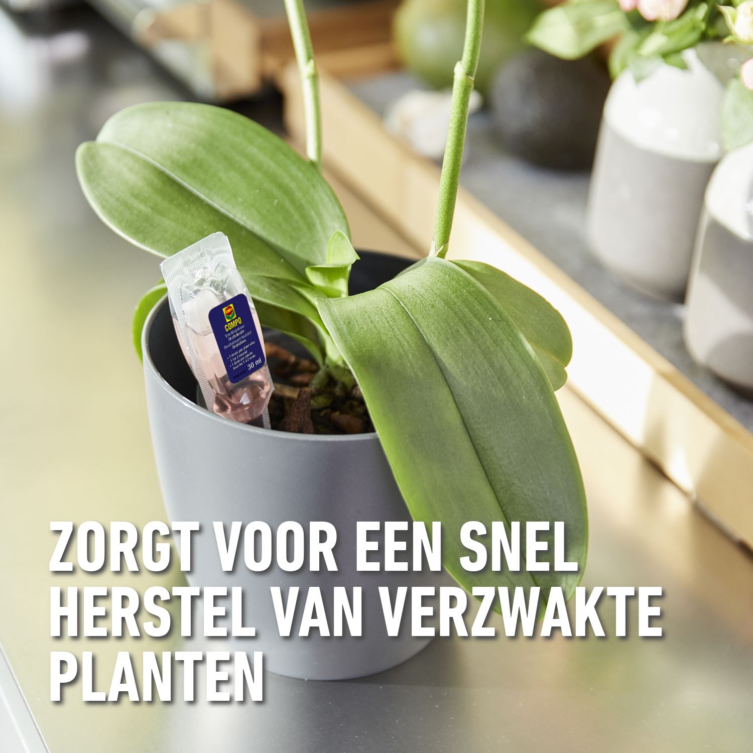 Compo-herstelkuur-orchideeen-150ml-5x30ml-