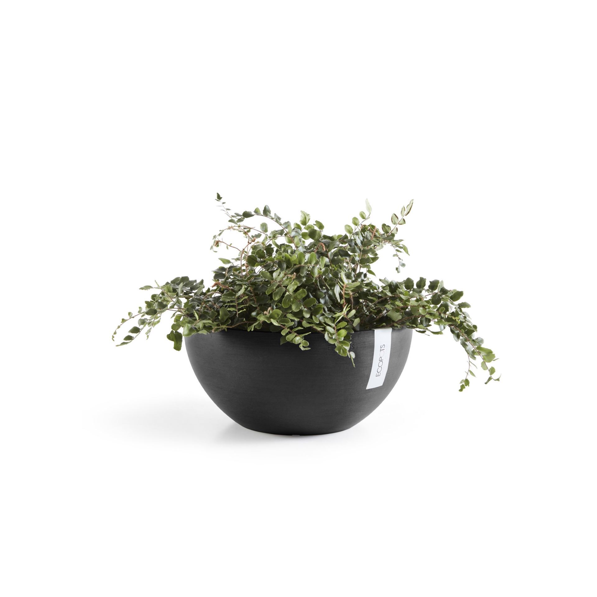 Ecopots-brussels-dark-grey-30-cm-H14-cm