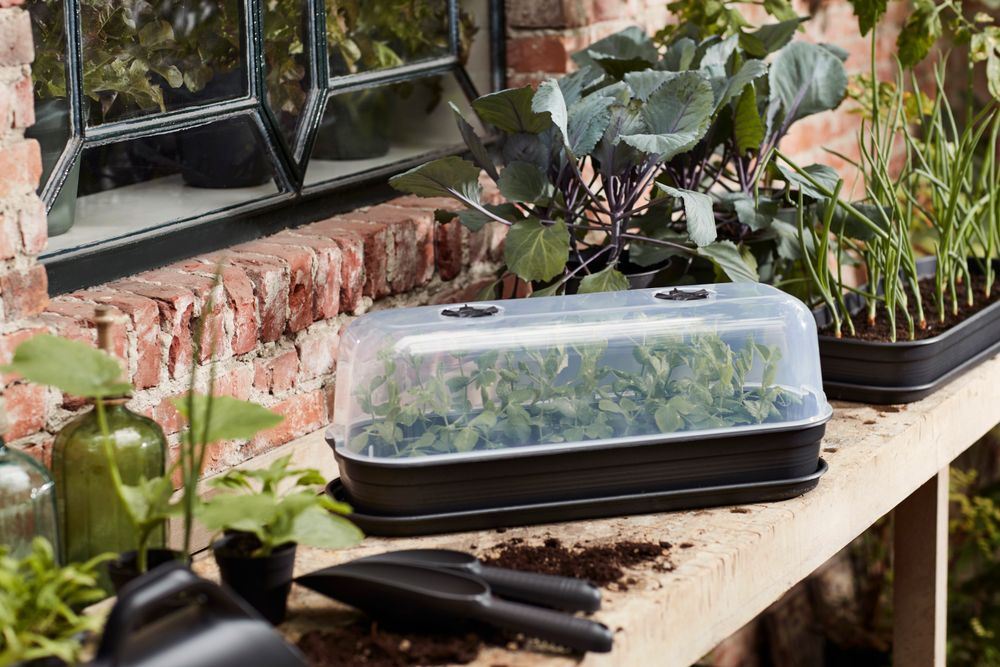 green-basics-kweekhuis-l-transparant