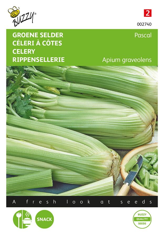 Buzzy® Leaf celery Pascal seeds - Green Full pipe