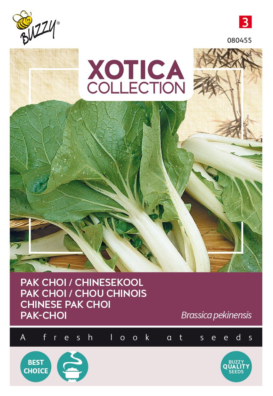 Xotica-Paksoi-Kanton