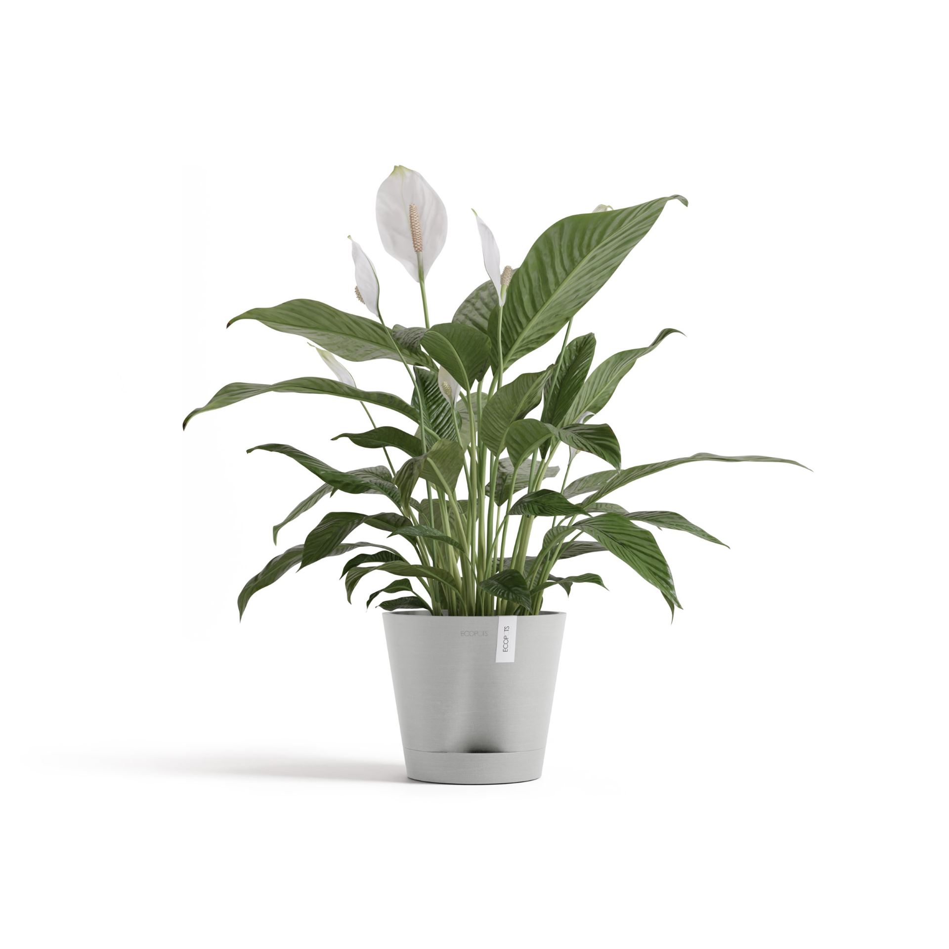 Ecopots-venice-2-white-grey-20-cm-H17-5-cm-incl-waterreservoir