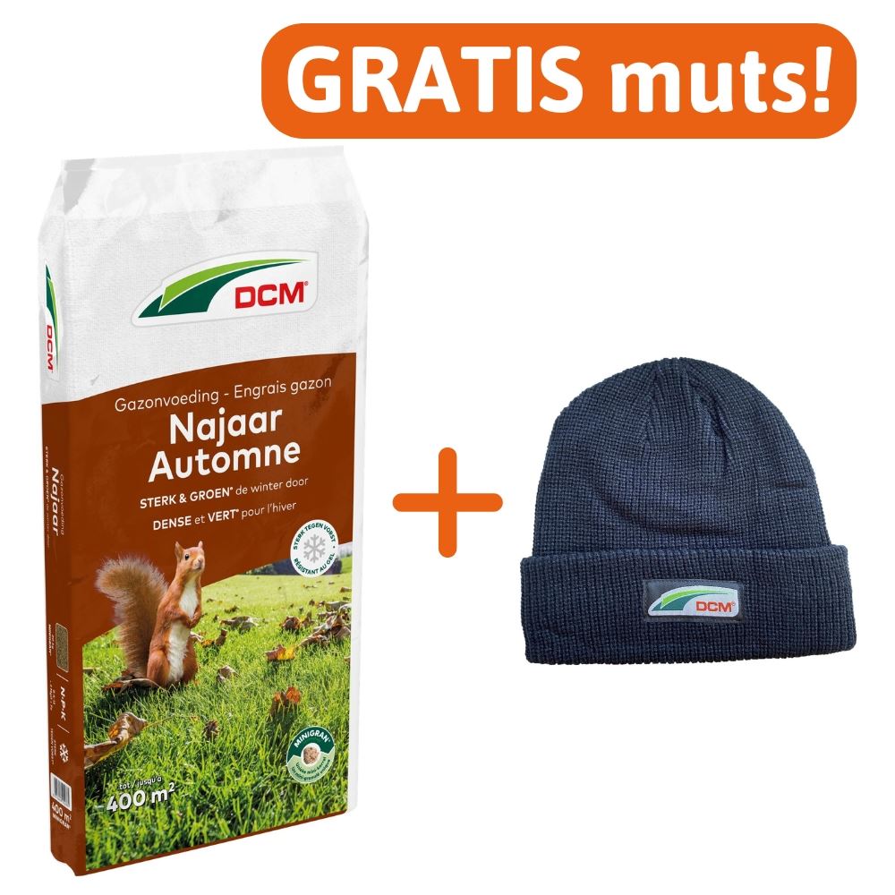 Gazonmest-najaar-20kg-najaarsmeststof-NPK-8-4-15-3MgO-Fe