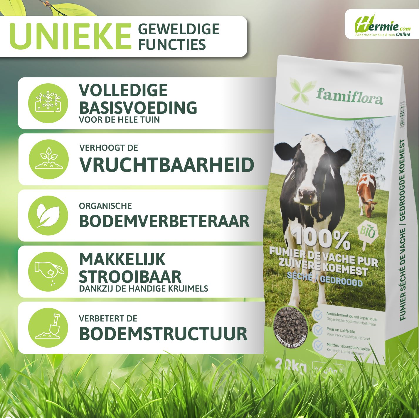 Wanneer gazon bemesten met koemestkorrels - Beste Grasmaaier Wanneer gazon bemesten met koemestkorrels - Beste Grasmaaier