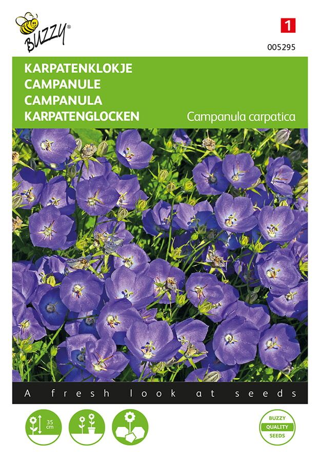 Buzzy® Karpatenklokje zaden - blauw 