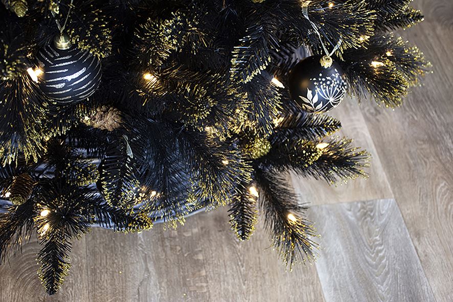 Shimmery-Golden-Black-Bristle-h228cm-500L