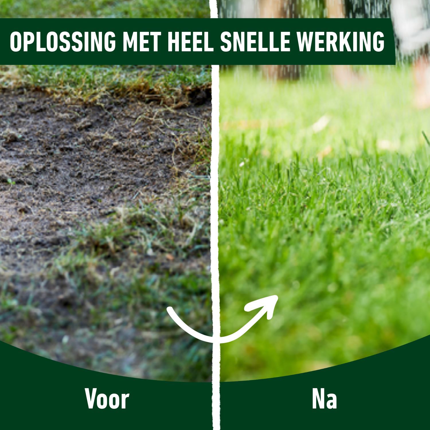 Gazonmestsof-Turbo-20KG