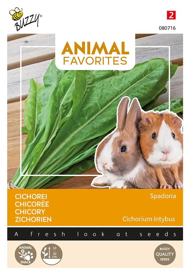 Buzzy-Animal-Favorites-Cichorei-Spadona-Konijn-Cavia