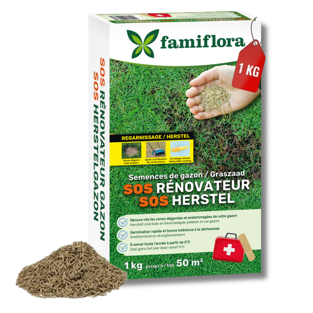Famiflora grass seed 1kg to 50m² - SOS repair lawn - fast recovery bald spots