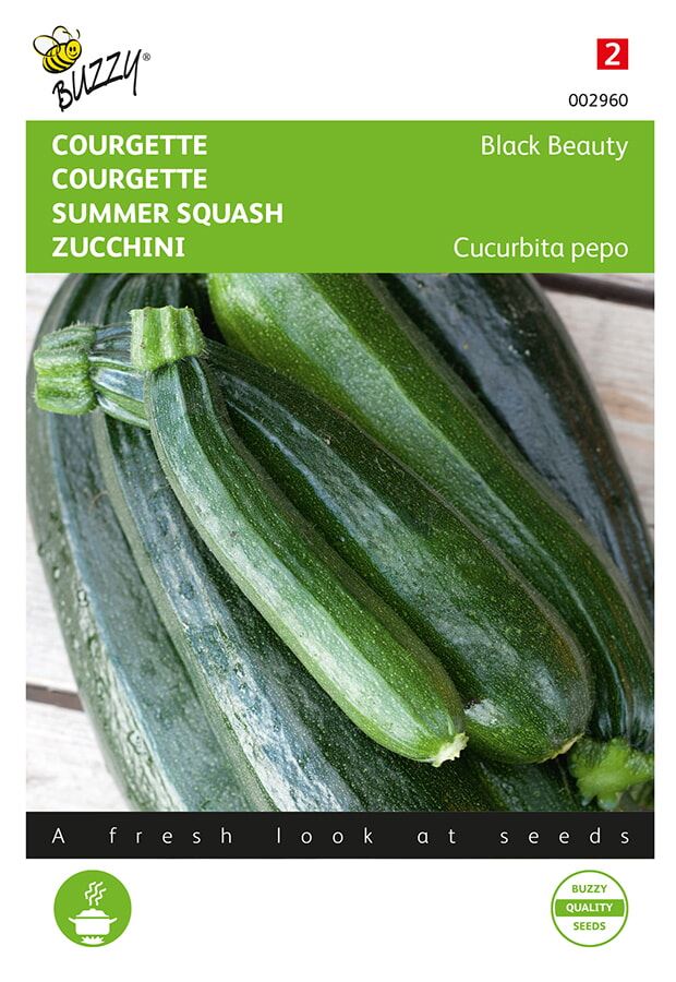 Buzzy® Zucchini seeds - Black Beauty - Verte De Milan