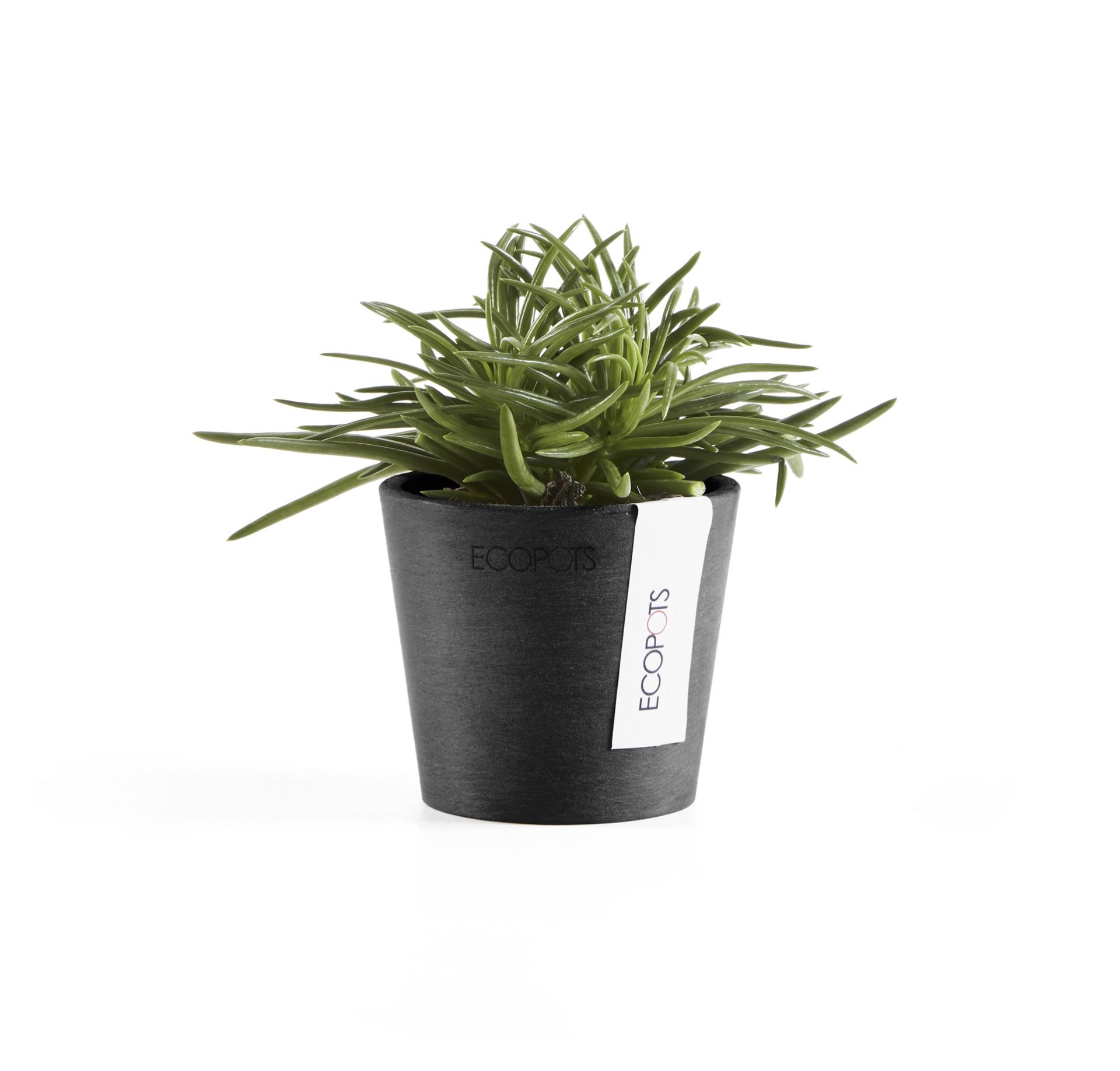 Ecopots-amsterdam-mini-dark-grey-8-cm-H7-cm