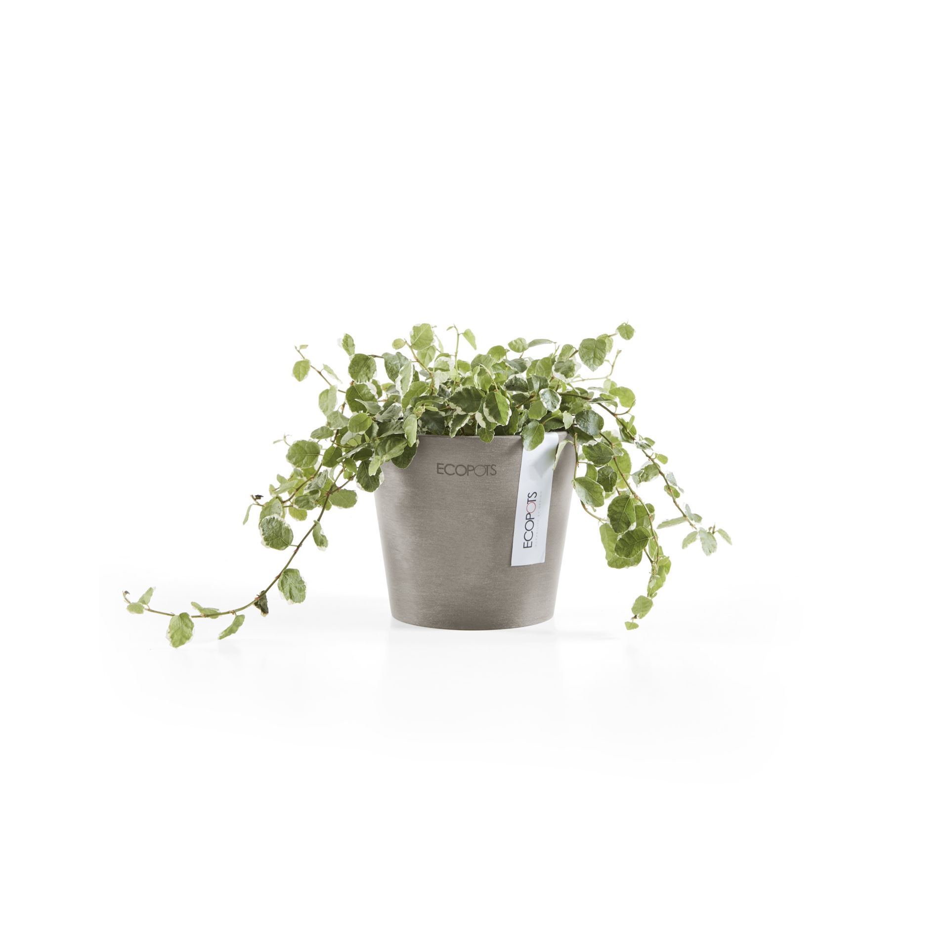 Ecopots-amsterdam-mini-taupe-10-5-cm-H9-2-cm