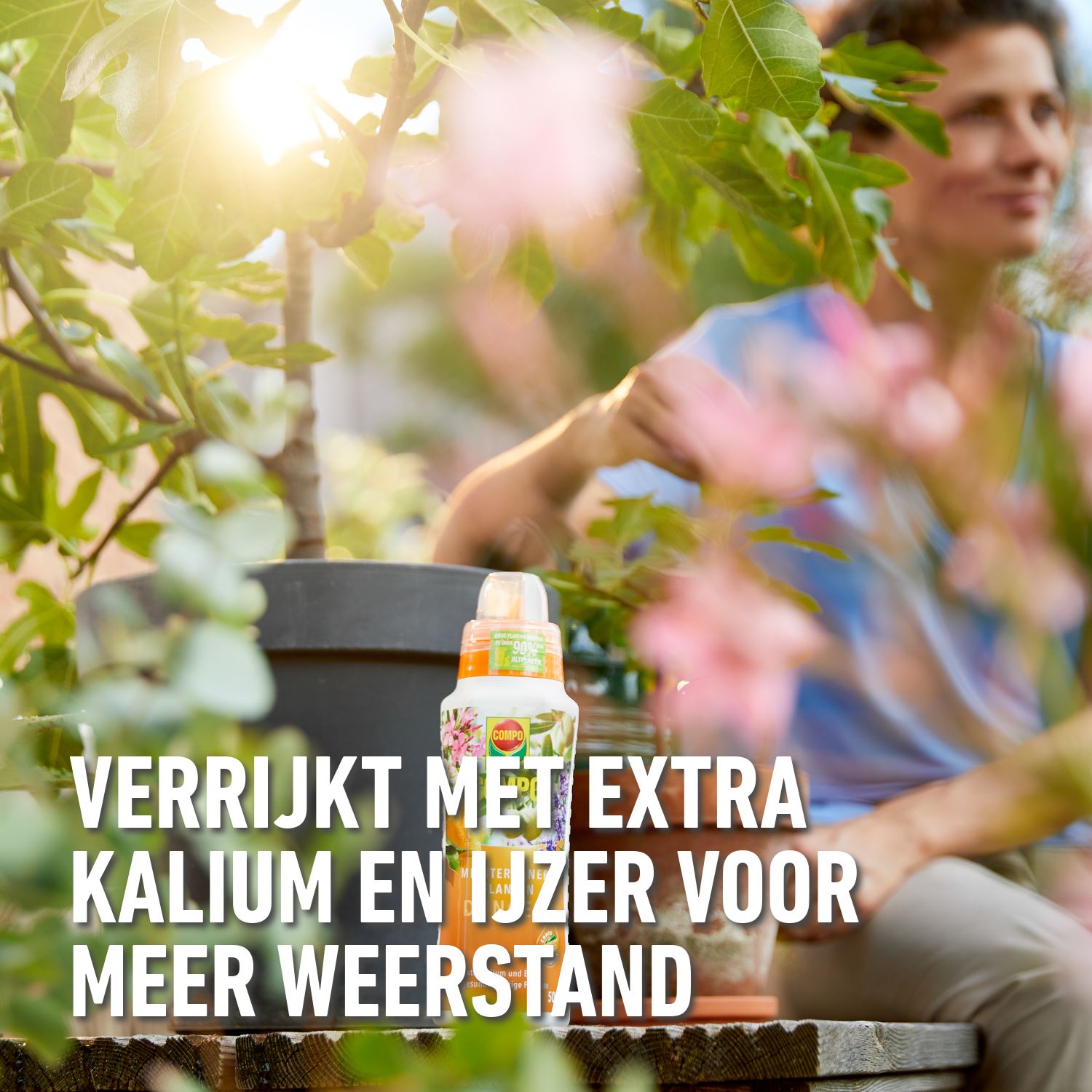 compo-vloeibare-meststof-mediterrane-planten-1-L