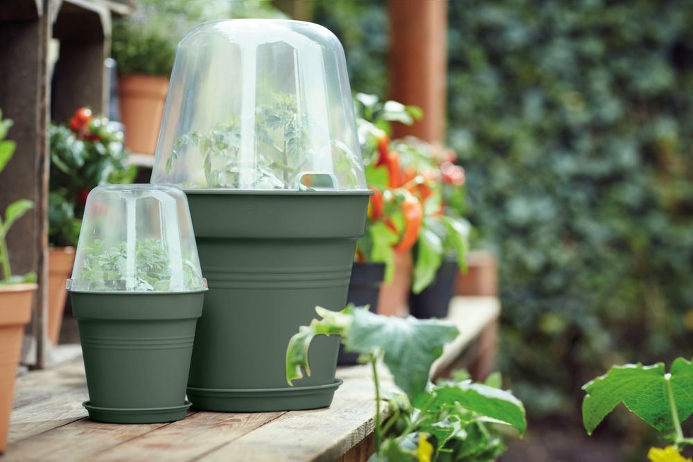 green-basics-kweekpot-27cm-blad-groen