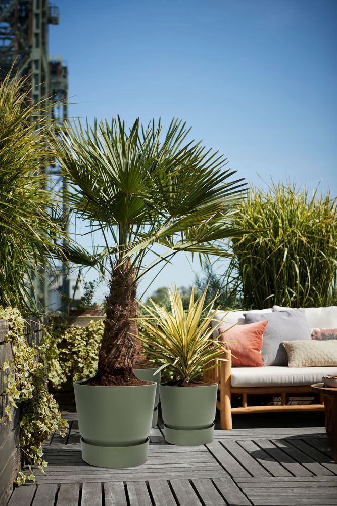 pot-Greenville-rond-47cm-blad-groen
