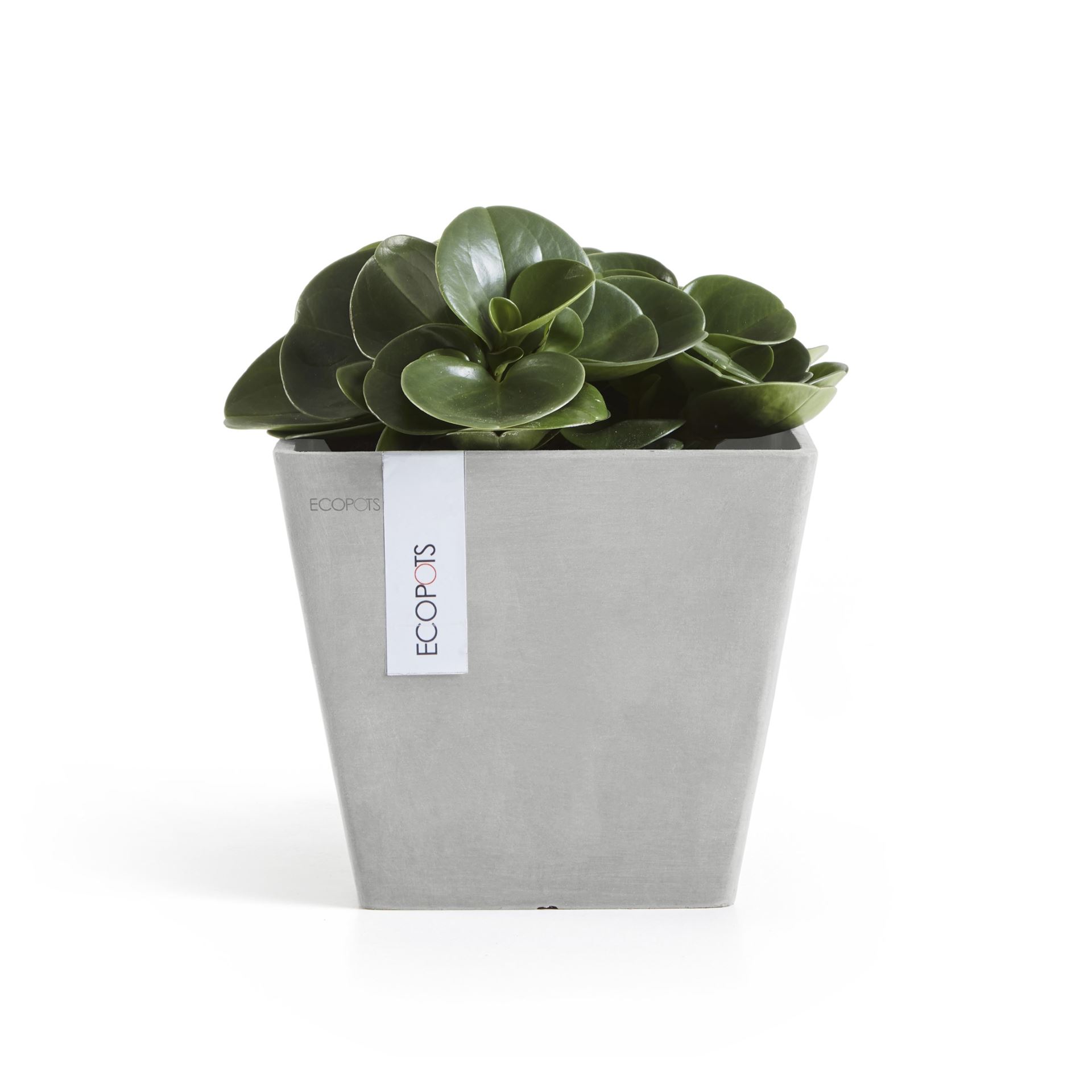 Ecopots-rotterdam-white-grey-LBH-20x20x17-5-cm