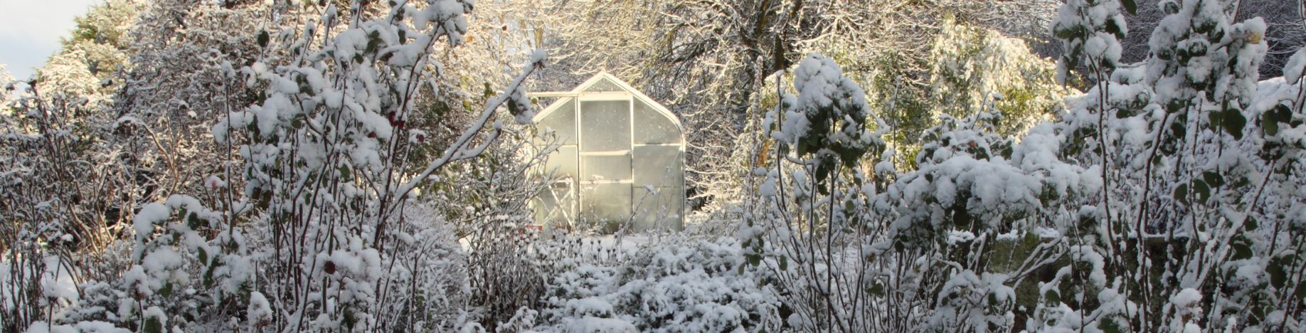 greenhouse with snow
