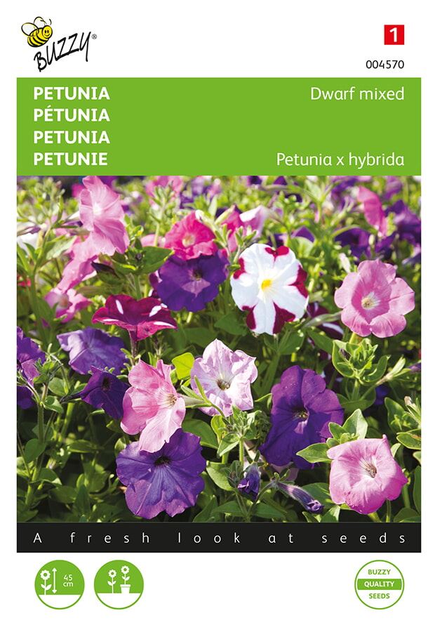 Buzzy-Petunia-laag-gemengd