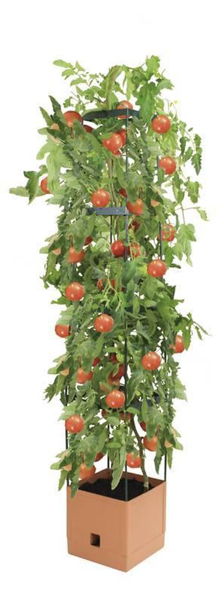 MAXITOM Plantentoren enkel Terracotta