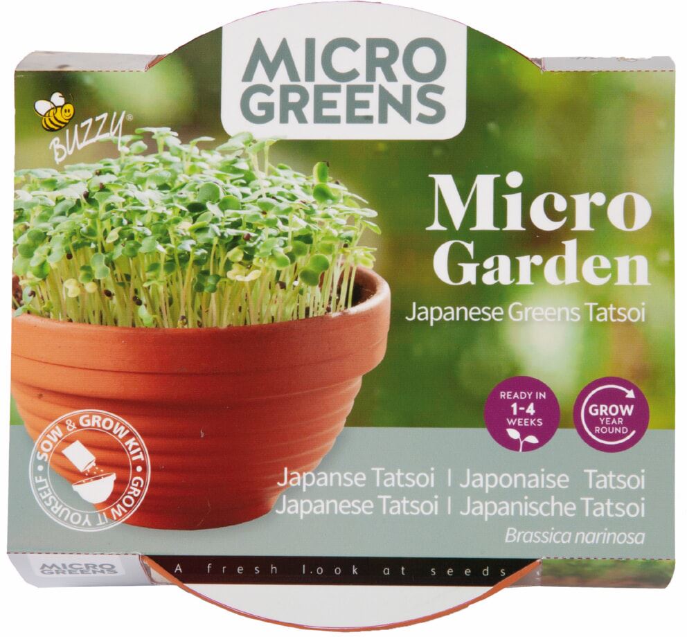 Buzzy-Microgreens-Terra-Schaaltje-Tatsoi