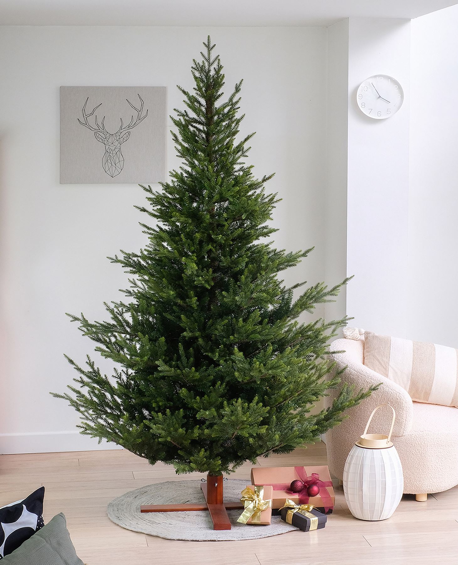Sami-Mountain-Spruce-Wood-DB-Base-228cm-pre-shaped