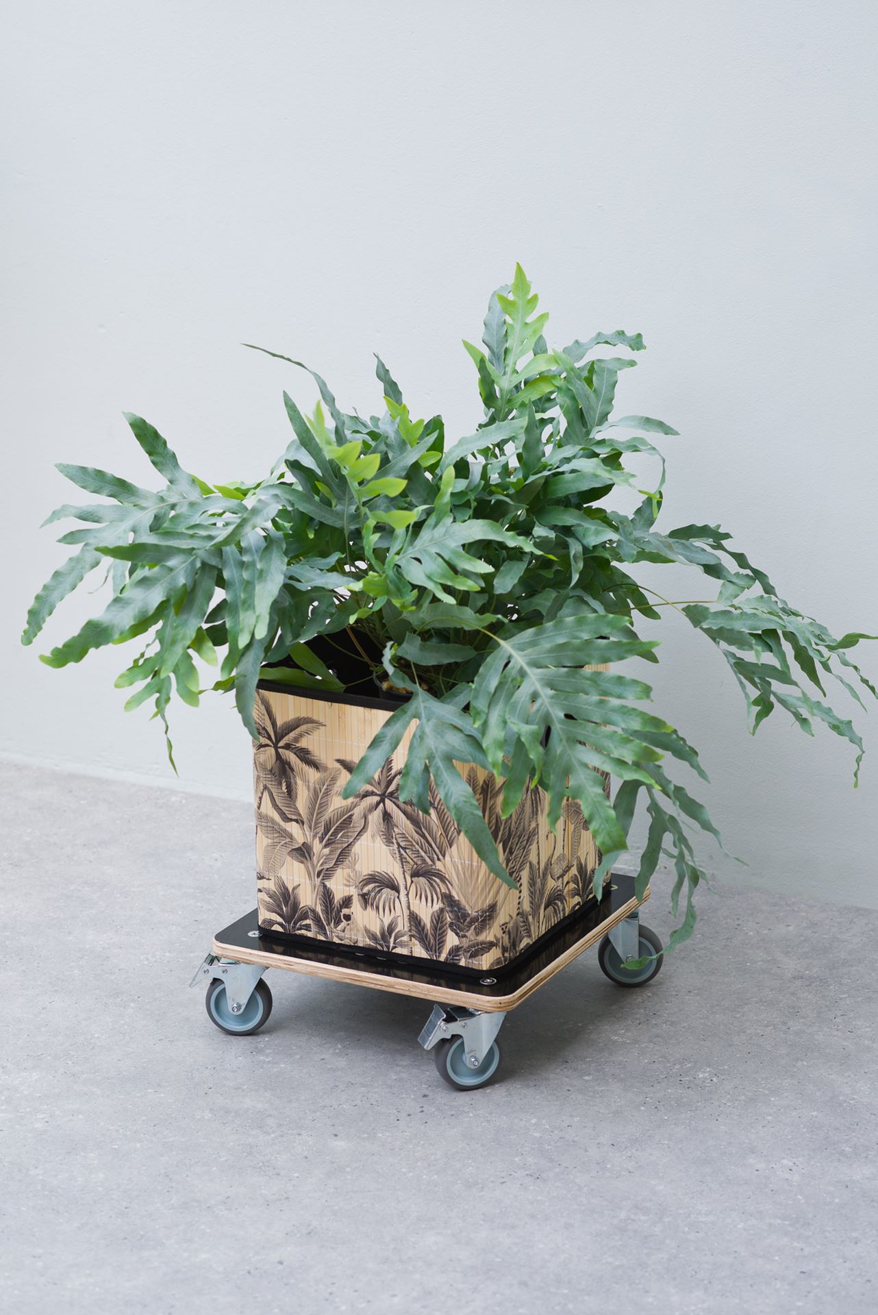 Planttrolley-FSC-hout-zwart-draaggewicht-250-kg-H11-x-38-x-38-cm