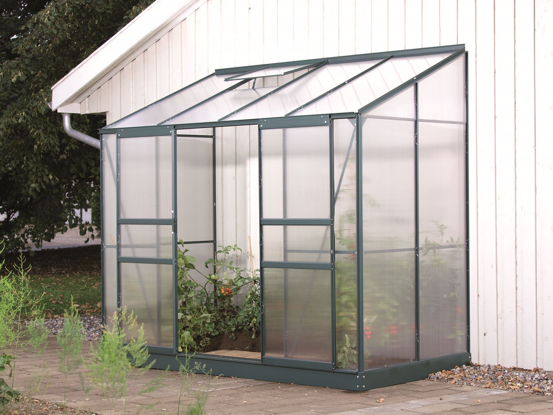 Ida-3300-HKP-4mm-donkergroen-Polycarbonaat-serre-Muurserre-B254-4-x-L127-9-x-H222-cm