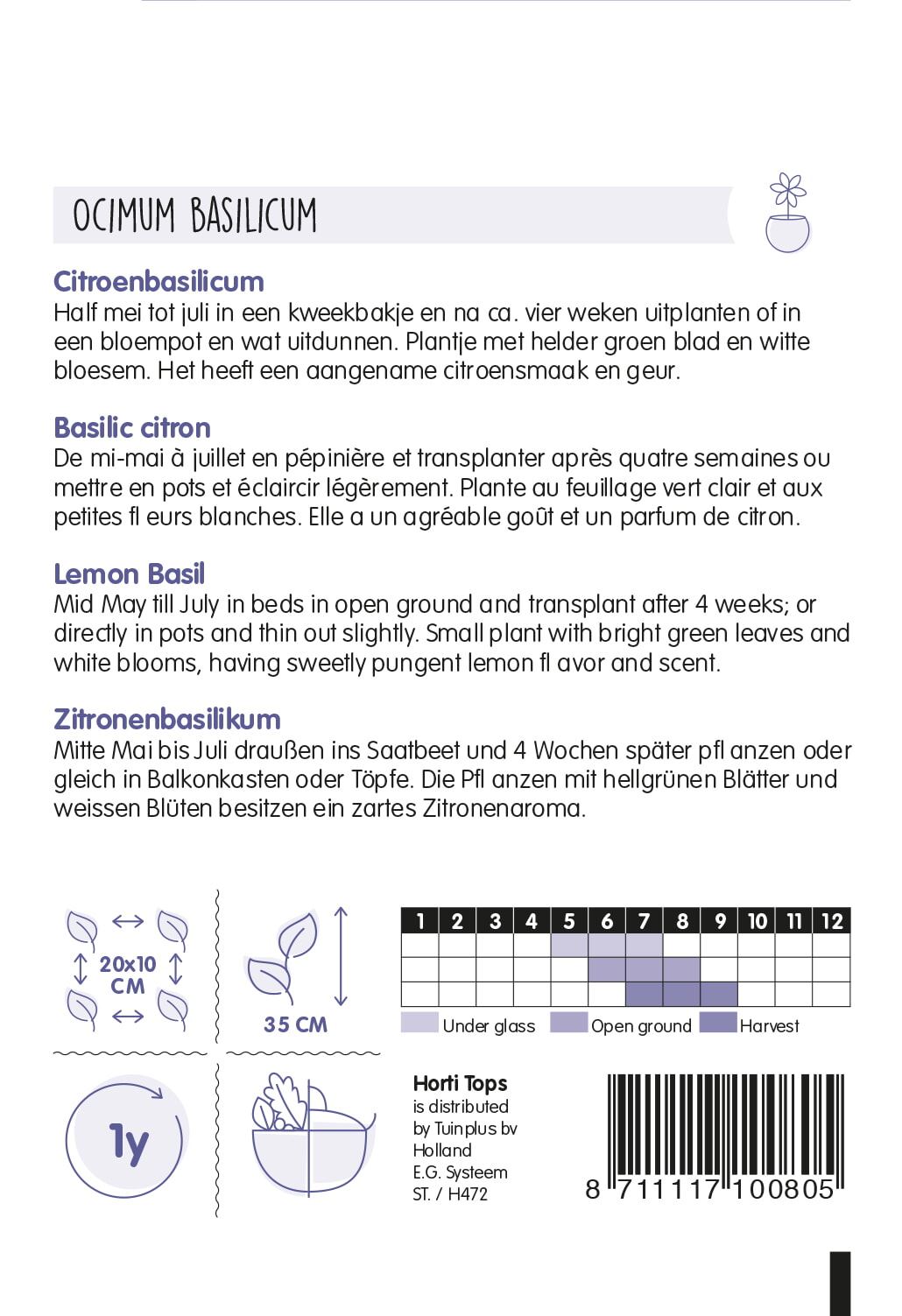 HT-Basilicum-Citroensmaak-Lemon-Basil-Kemangi
