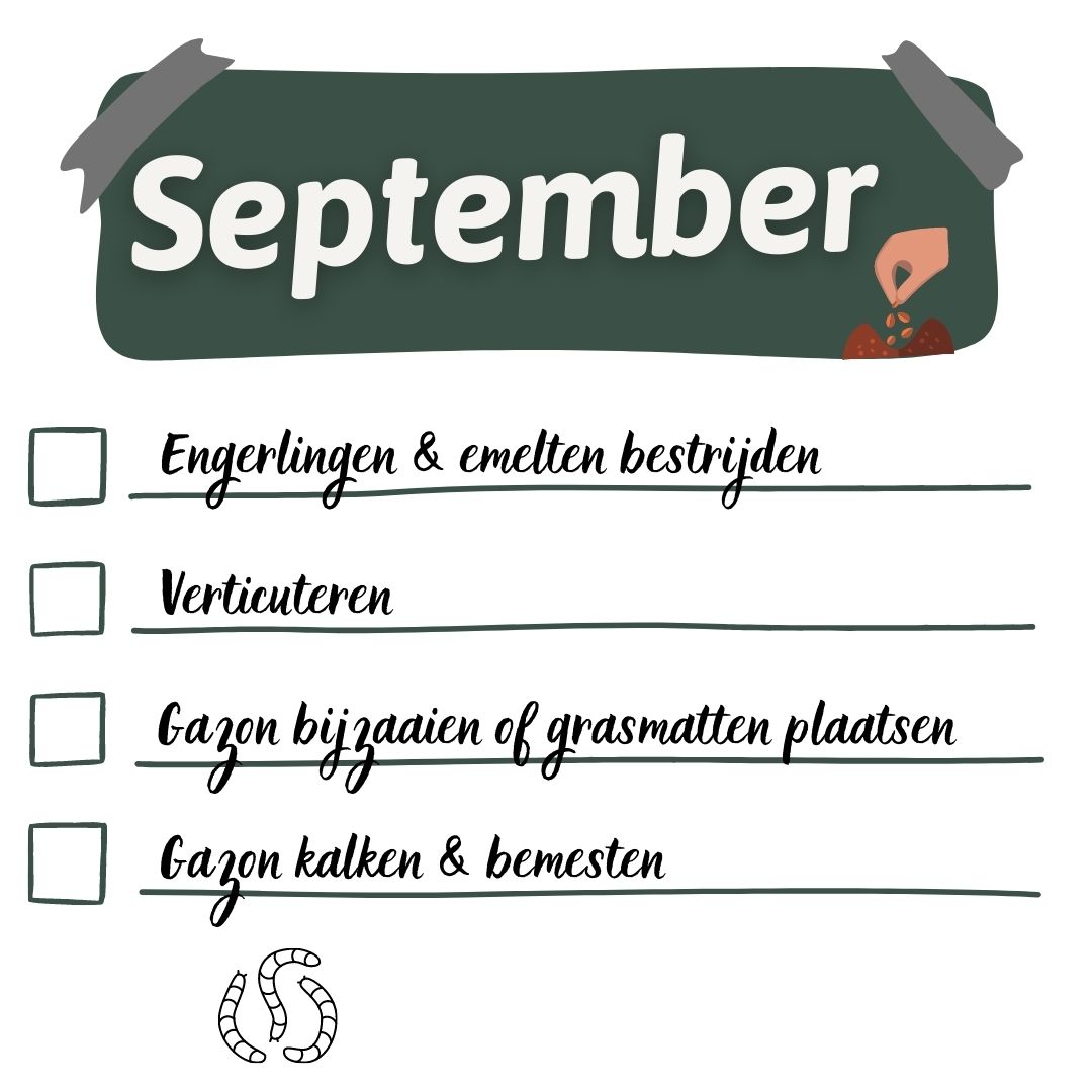 gazonkalender september