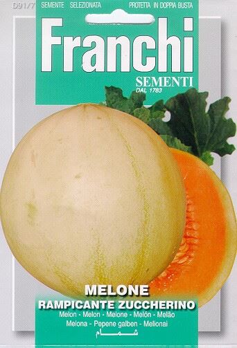 Franchi Sementi Meloen zaden - Melone Rampicante Zuccherino