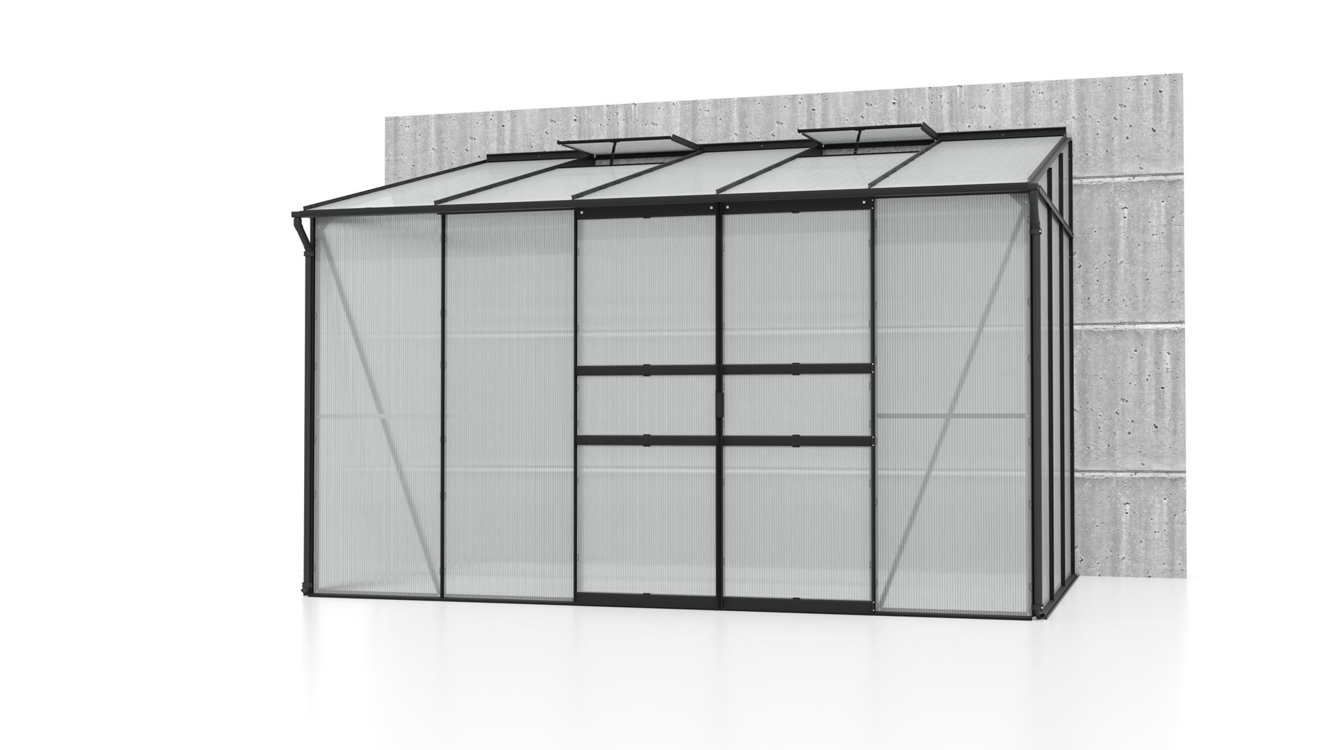 Ida-6500-HKP-4mm-zwart-Polycarbonaat-serre-Muurserre-B316-6-x-L190-1-x-H220-8-cm