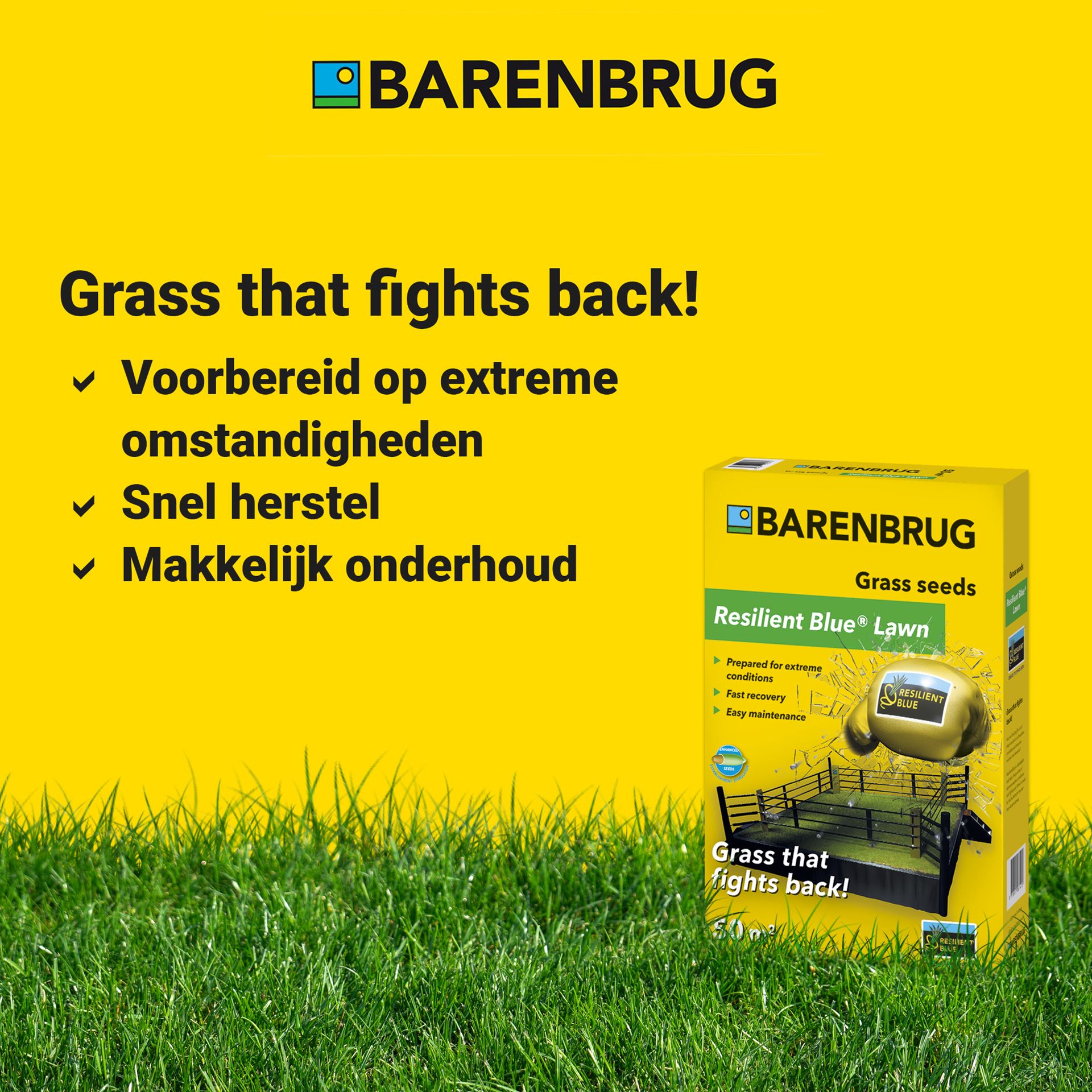 Resilient-Blue-Lawn-Tough-easy-5kg