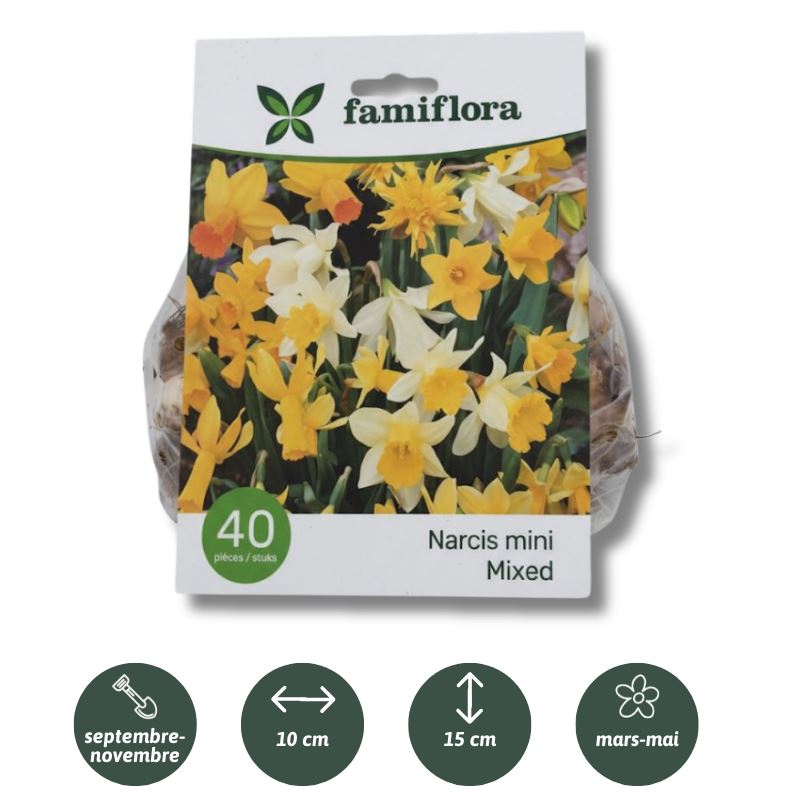 Narcis-Mix-per-40