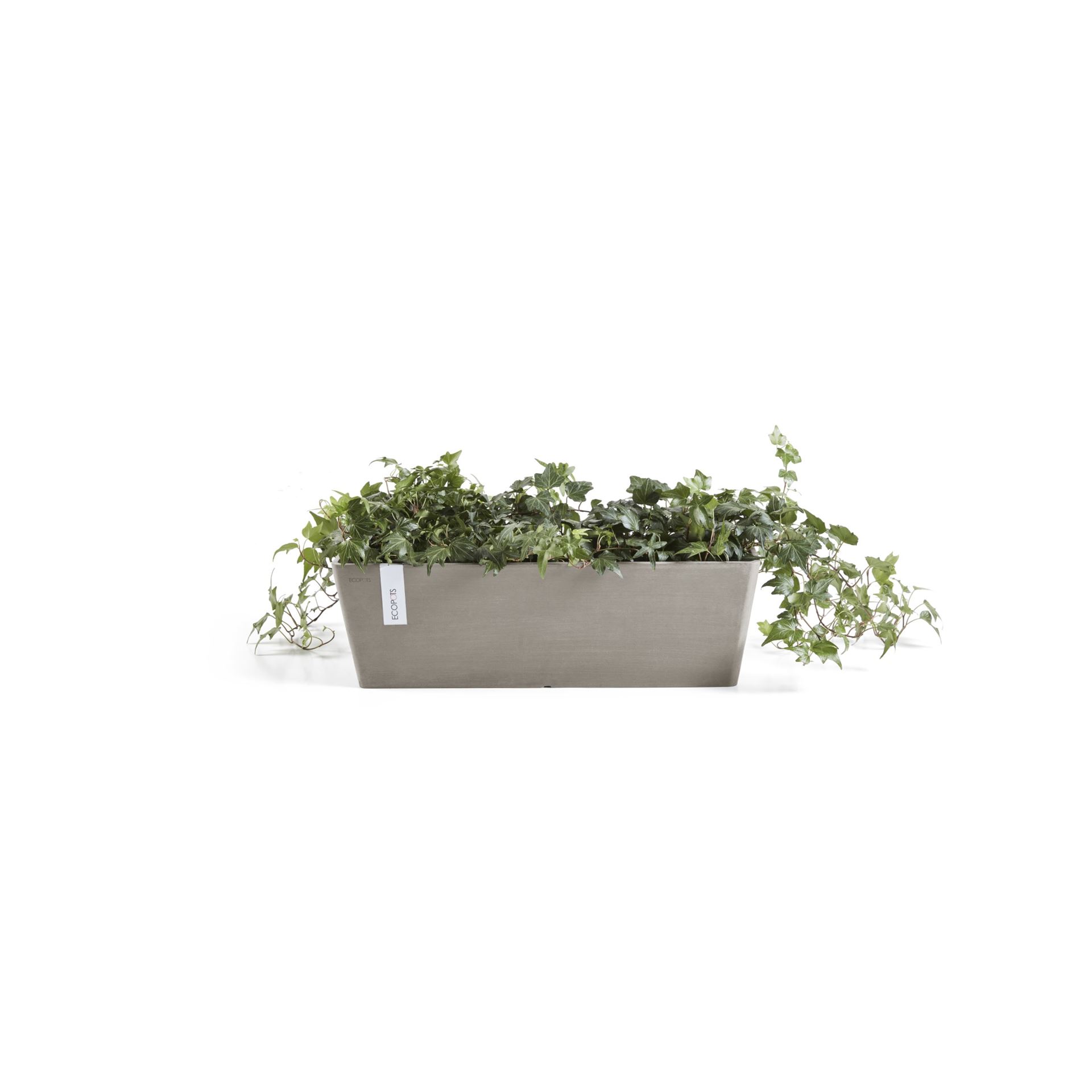 Ecopots-bruges-taupe-LBH-55x17x17-cm-incl-waterreservoir