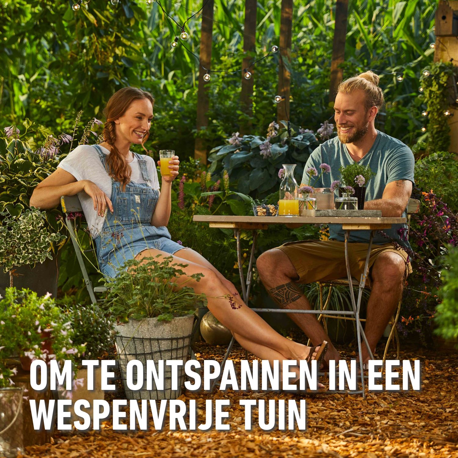 Barriere-insect-k-o-power-spray-wespen-500ml