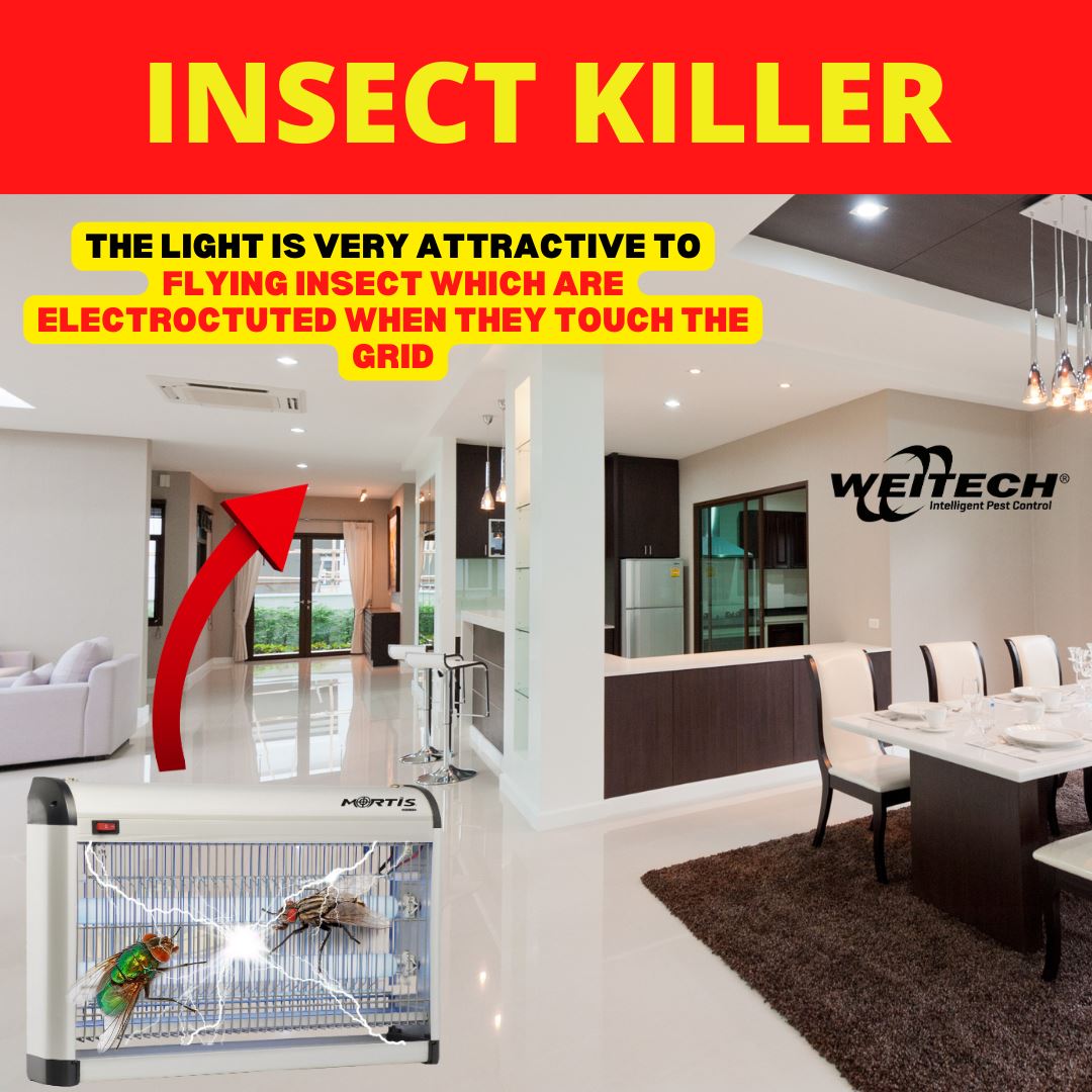 Insect-killer-UV-LED-100m-
