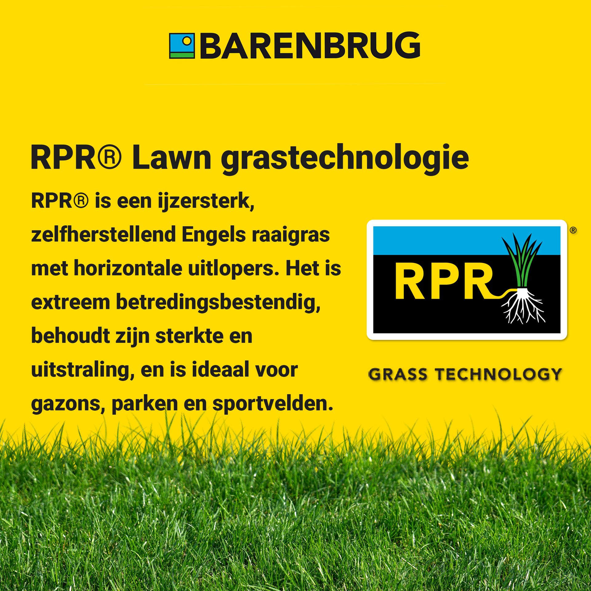 RPR-Lawn-15kg-ijzersterk-zelfherstellend-gazon-2-3-kg-100-m-Bar-Power-RPR-