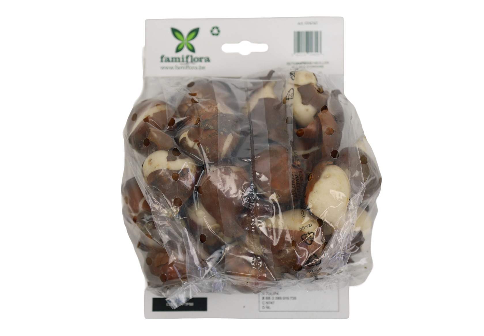 Famiflora Tulipe Parkiet Mix - Voorjaarsbloeiers - 20 bloembollen