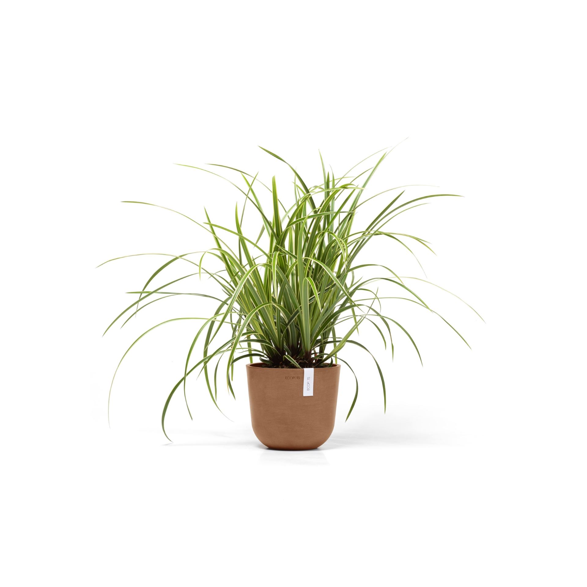 Ecopots-oslo-mini-terra-19-cm-H16-5-cm