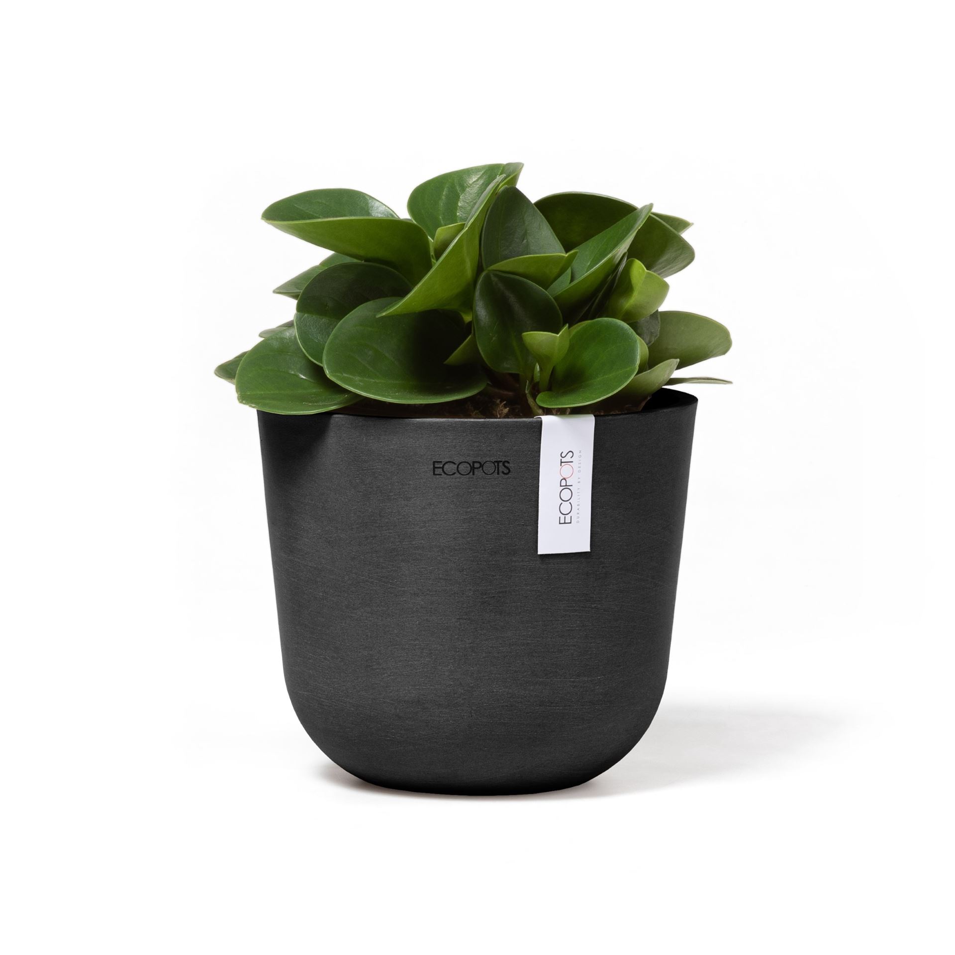 Ecopots-oslo-mini-dark-grey-16-cm-H13-cm