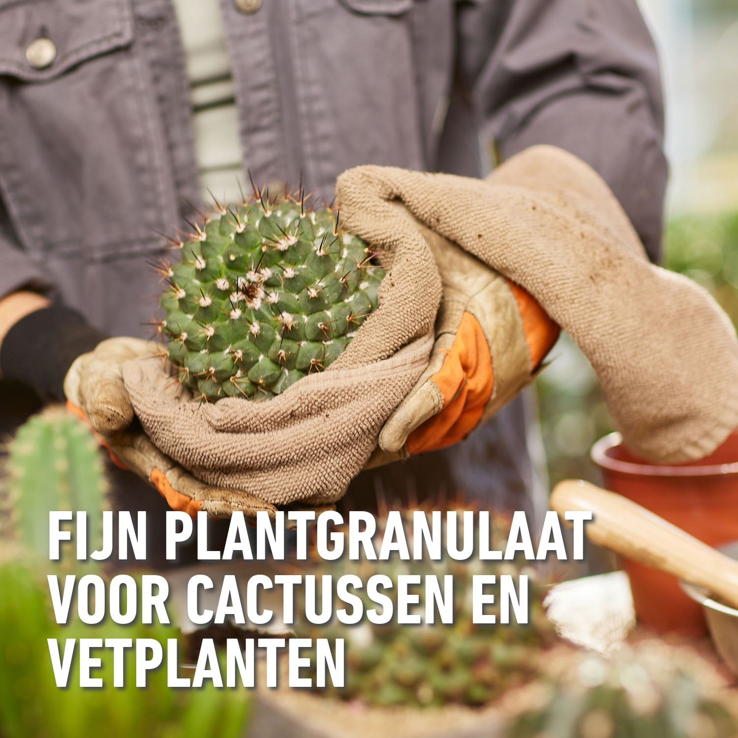 Granuplant-Cactussen-Vetplanten-3L