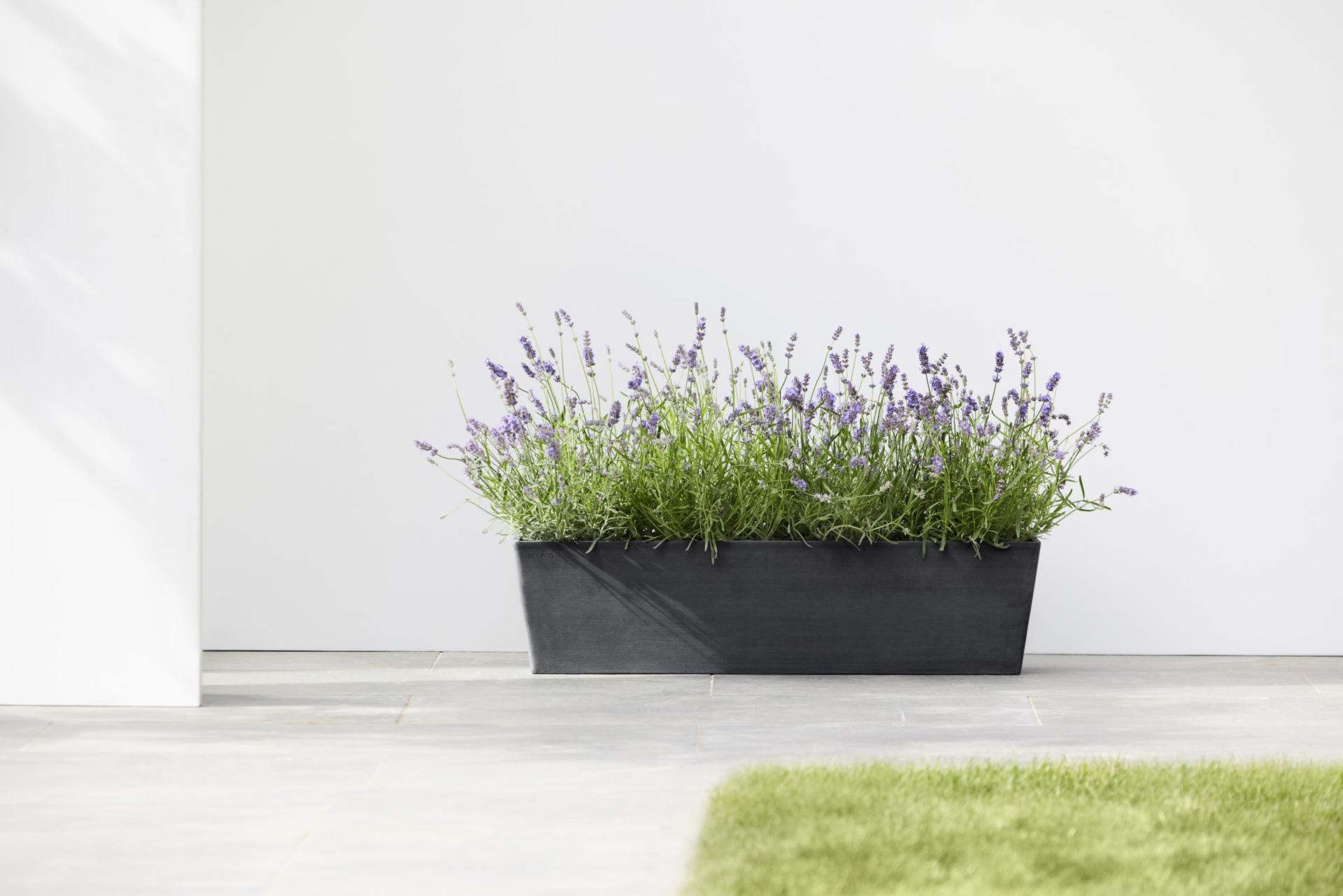 Ecopots-bruges-dark-grey-LBH-80x20x20