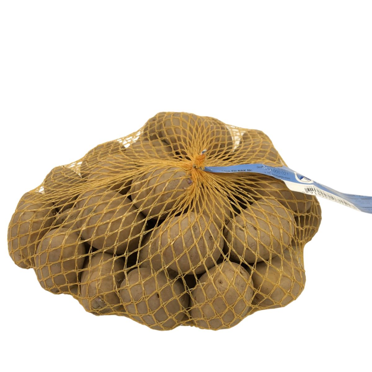 Seed potato Agria bag 1kg - BIO