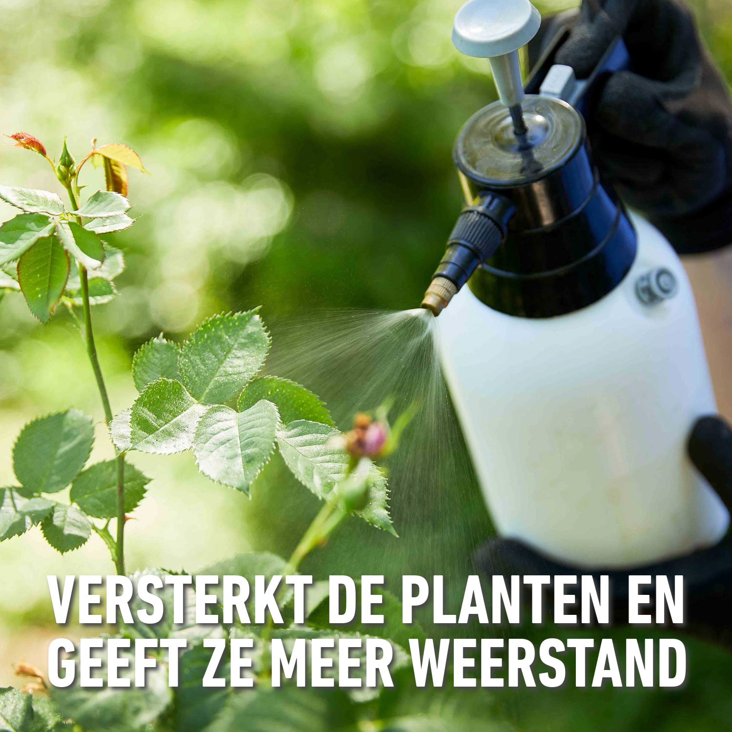 Compo-bio-brandnetelgier-1-5L